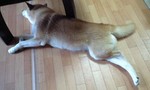 090227_1100~0001.jpg