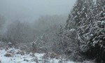 090227_1451~0001.jpg