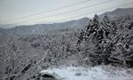 090304_0814~0001.jpg