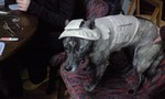 090314_1816~0001.jpg