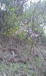 090412_1300~0001.jpg