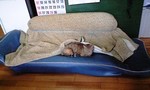 090424_1308~0001.jpg