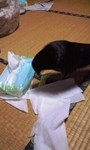090528_2234~0001.jpg