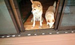 090604_1128~0001.jpg