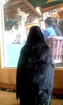 090606_1251~0002.jpg