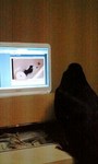 090623_2104~0003.jpg