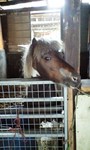 090628_1642~0002.jpg