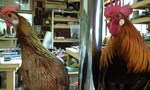 090701_1542~0001.jpg