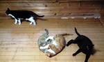 090713_1619~0001.jpg