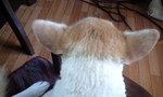 090722_1153~0002.jpg