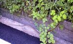 090816_1340~0001.jpg