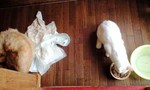 090902_0929~0001.jpg