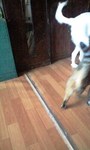 091023_1403~0001.jpg