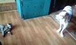 091023_1407~0001.jpg