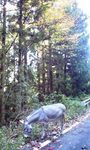 091028_1037~0002.jpg
