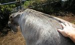 091108_1048~0002.jpg