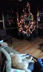 091203_1750~0001.jpg