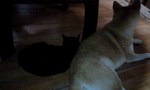 091203_1925~0001.jpg