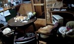 091214_2029~0001.jpg