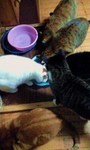 100106_1706~0001.jpg