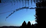 100117_1239~0002.jpg