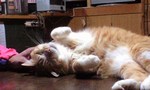 100225_2024~0002.jpg