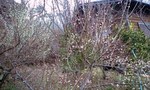 100226_1337~0001.jpg