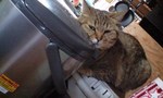 100325_1016~0003.jpg