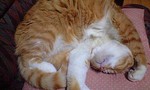 100602_1902~0001.jpg