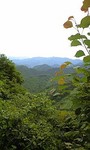 100613_1319~0002.jpg