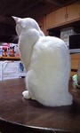 100613_1848~0001.jpg