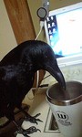 100615_2216~0001.jpg