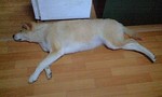 100616_1816~0002.jpg
