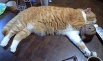 100616_1816~0003.jpg