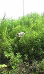 100617_0930~0001.jpg