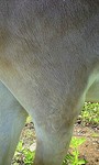 100617_1020~0001.jpg
