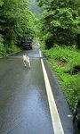 100623_0848~0001.jpg