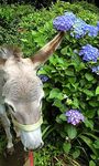 100624_0941~0001.jpg