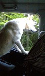 100624_1810~0001.jpg