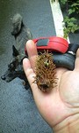 100627_1324~0001.jpg