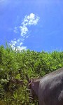 100628_1021~0001.jpg