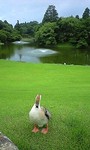 100629_1325~0002.jpg
