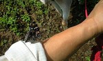 100701_1011~0001.jpg