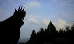 100706_1727~0001.jpg