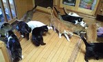 100706_1739~0001.jpg