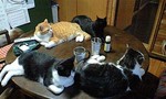 100719_1842~0001.jpg