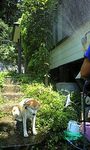 100720_0941~0002.jpg