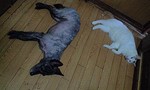 100721_1321~0001.jpg