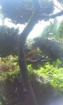 100730_0942~0001.jpg