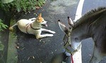 100801_1103~0001.jpg